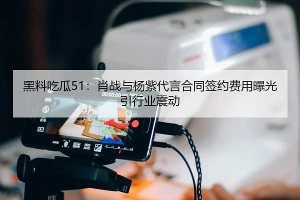 黑料吃瓜51：肖战与杨紫代言合同签约费用曝光引行业震动